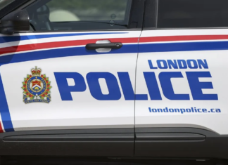 Western University 校园擅闯案升级:警方查获枪械与爆炸物材料,调查扩展至渥太华与加蒂诺