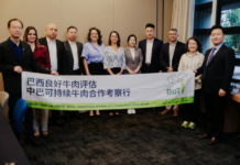 “鲜味摆渡人”——把地球另一端的好肉递到国人的餐桌上 ——天津市肉类协会会长、知名女企业家邢艳玲访谈