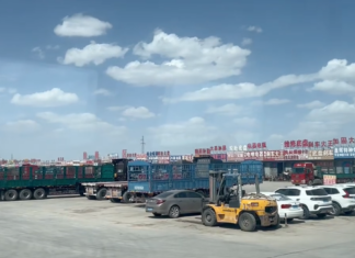 通道汇聚高原 枢纽联通丝路——海外华媒走进格尔木现代物流一线